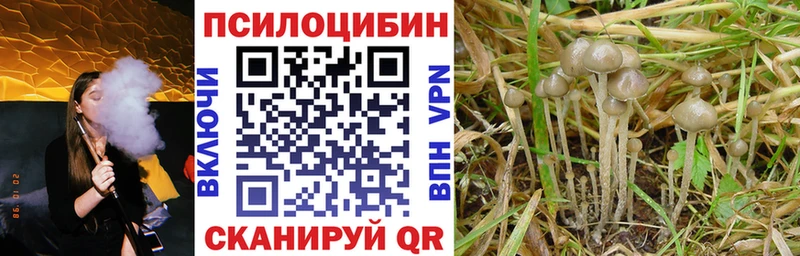 Галлюциногенные грибы прущие грибы Свирск